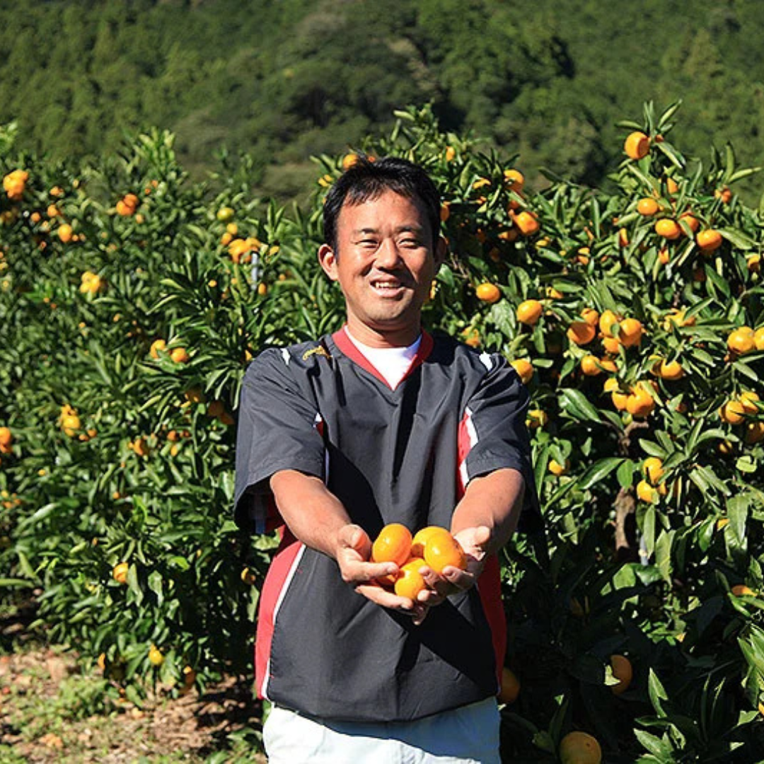 【期間限定】早生みかん 3㎏