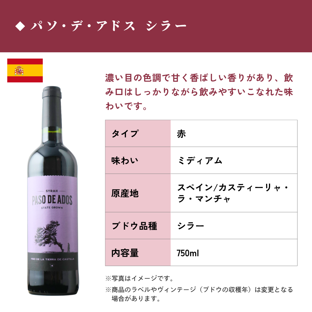 (赤ワイン)パソ・デ・アドス シラーボデガス・アルスピデ 2023年 スペイン カスティーリャ・ラ・マンチャ 赤 ミディアム 750ml