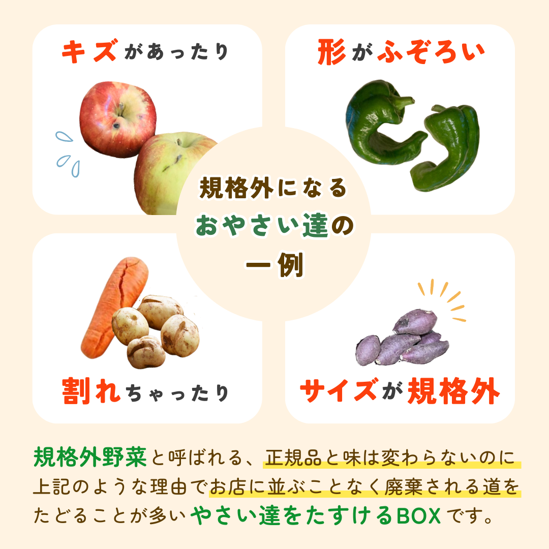 【つなぐ おやさい】規格外お野菜BOX