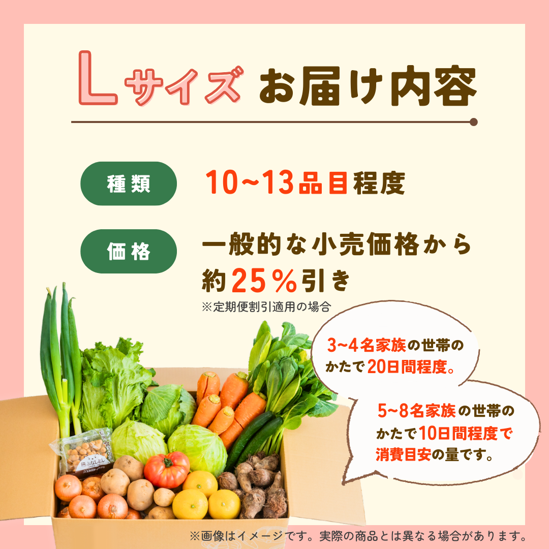 【つなぐ おやさい】規格外お野菜BOX