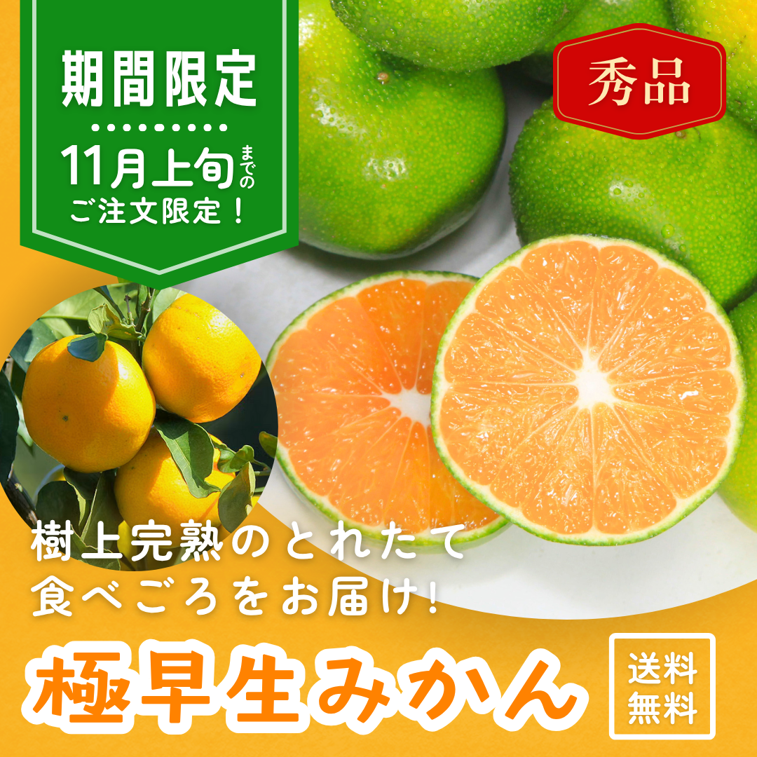 【期間限定】極早生みかん 3㎏