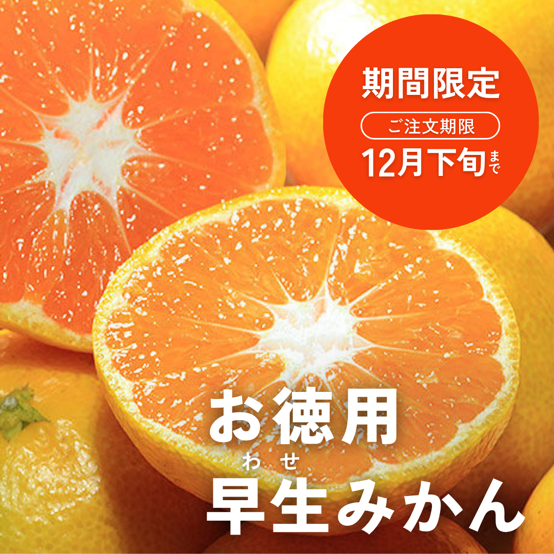 お徳用 三重県産 早生みかん 3㎏