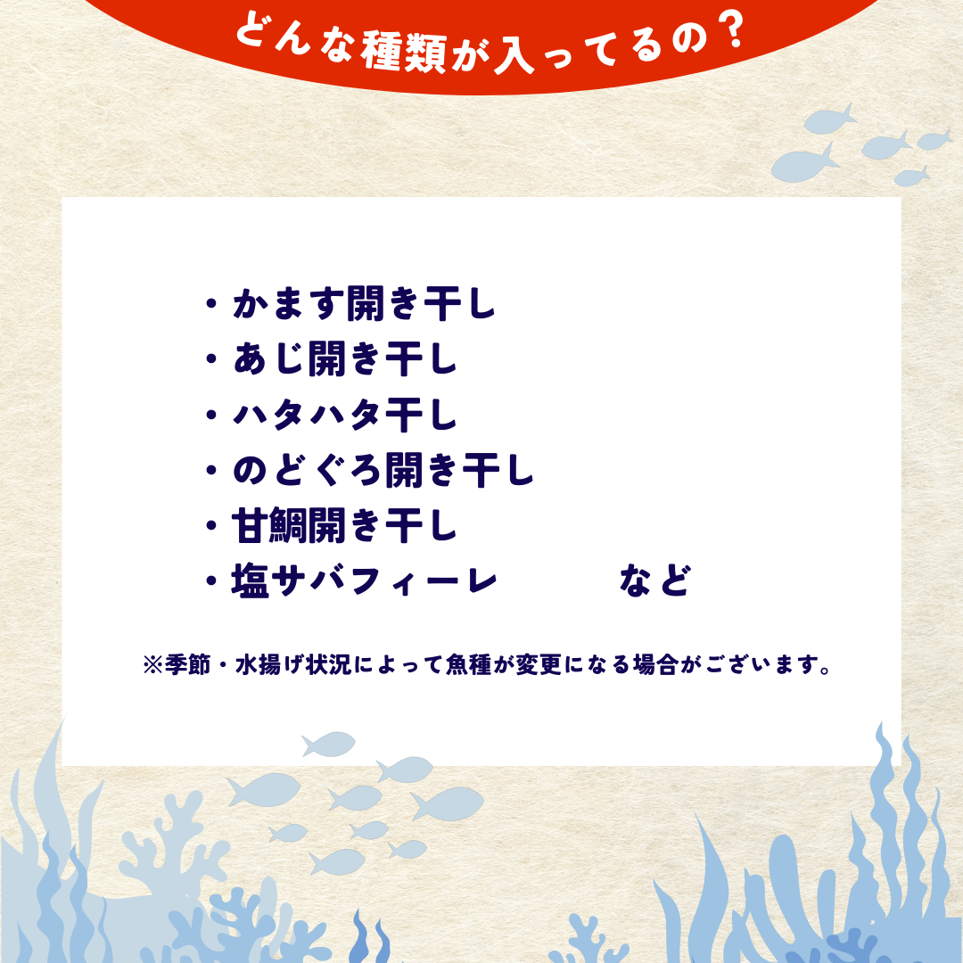 訳あり 日本海産 干物詰め合わせ(1.2~1.4kg)