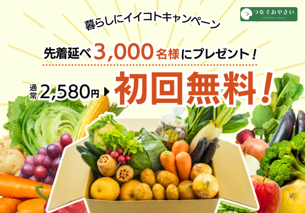 【7/31締切】中部電力ミライズのカテエネ「暮らしにイイコトキャンペーン」について