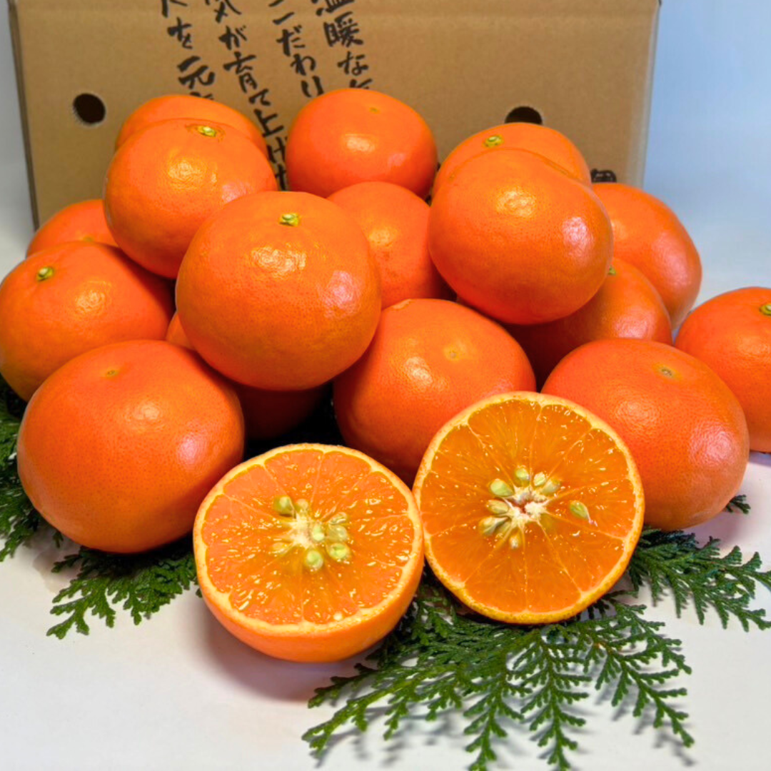 【期間限定】カラマンダリン 2kg
