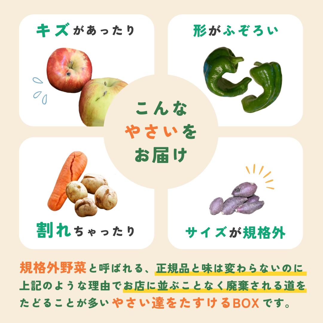 【つなぐ おやさい】規格外お野菜BOX　CPプラン変更用