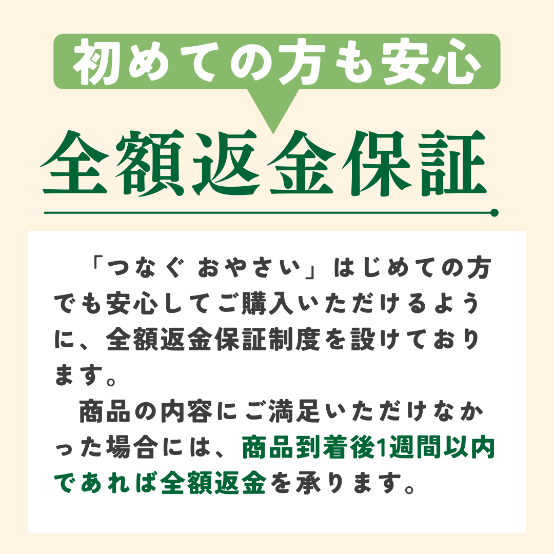 【つなぐ おやさい】規格外お野菜BOX