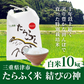 たらふく米 結びの神（白米）10kg