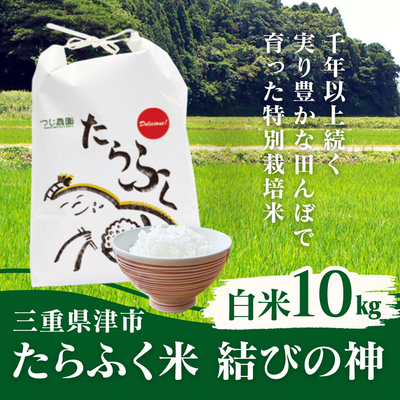 たらふく米 結びの神（白米）10kg