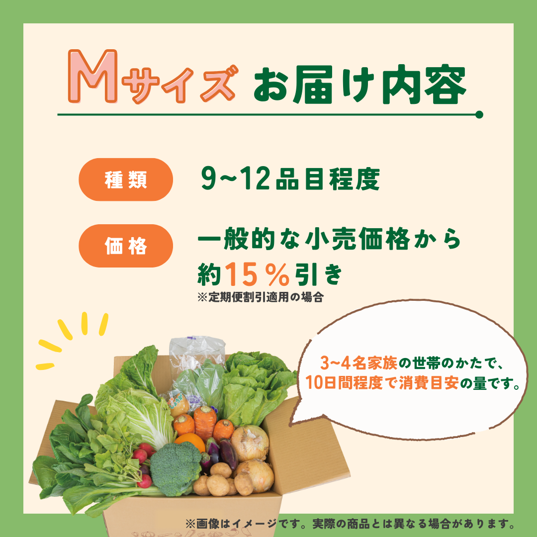 定期便【つなぐ おやさい】規格外お野菜BOX