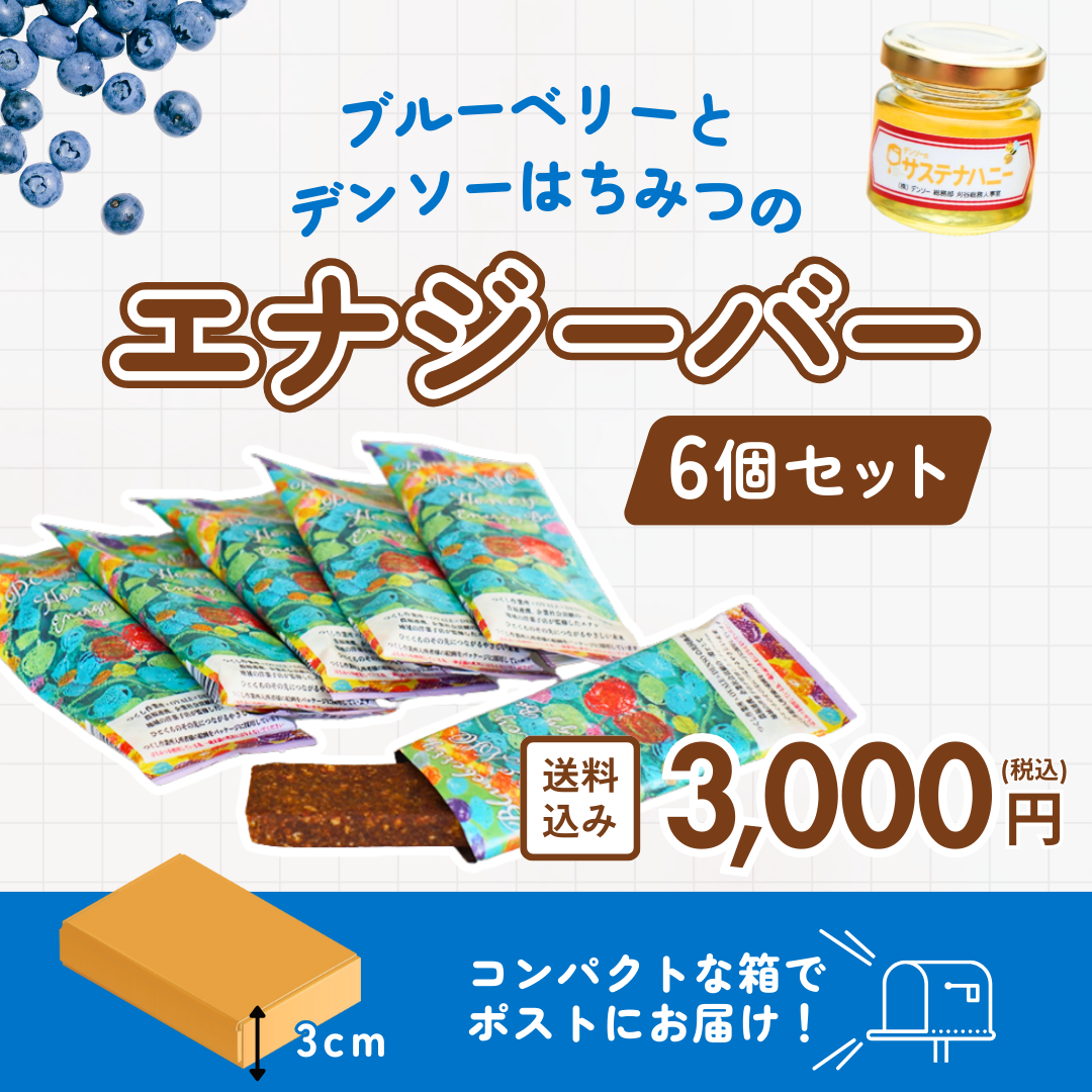 ブルーベリーとデンソーはちみつのエナジーバー6個セット