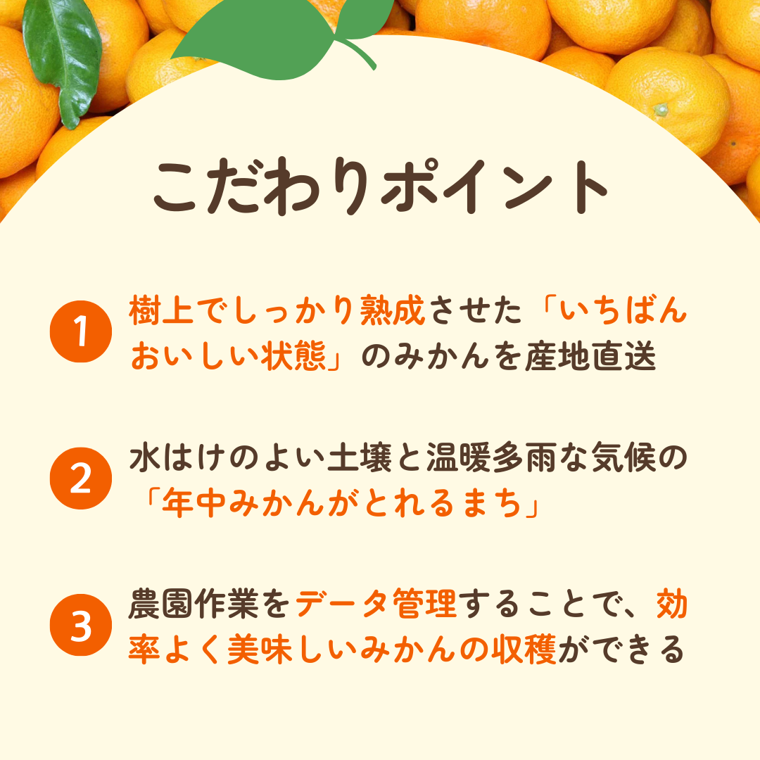 【期間限定】カラマンダリン 2kg