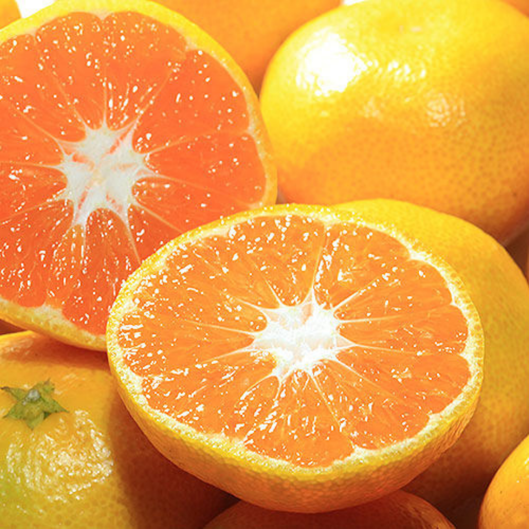 【期間限定】早生みかん 3㎏