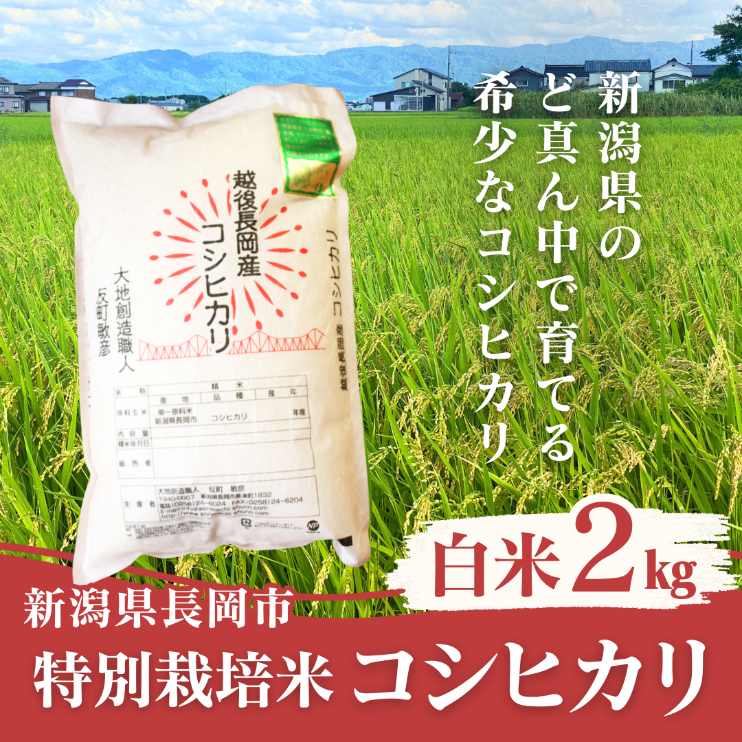 特別栽培米 コシヒカリ