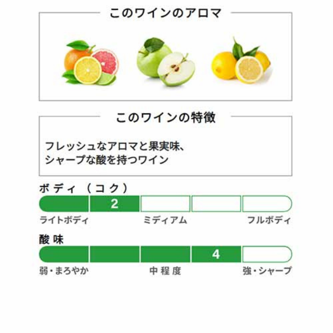 （白ワイン）シャルドネ　ドメーヌ・ド・ラ・ヴァンソニエール　2023年　フランス・ロワール　白　辛口　750ml