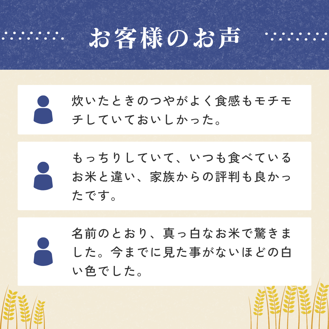 スノウリボン