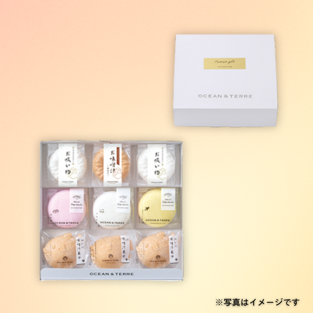 OCEAN&TERRE　最中詰め合わせセットB