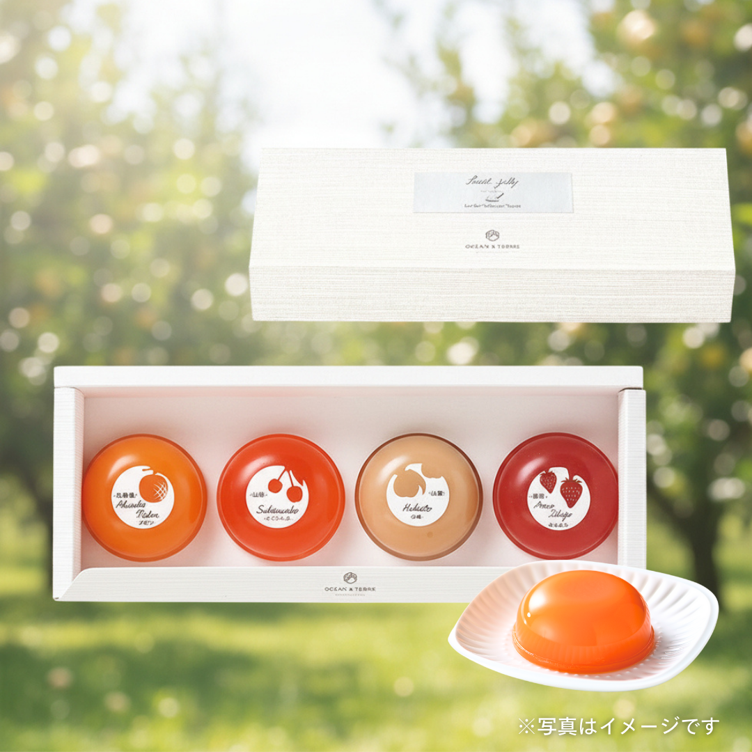 OCEAN＆TERRE　Premiumフルーツゼリーセット（4個入）
