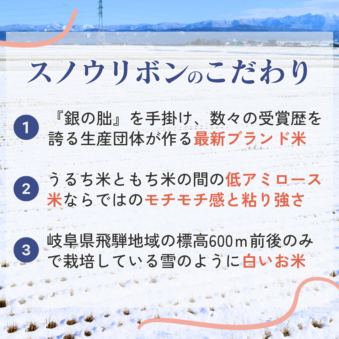 スノウリボン