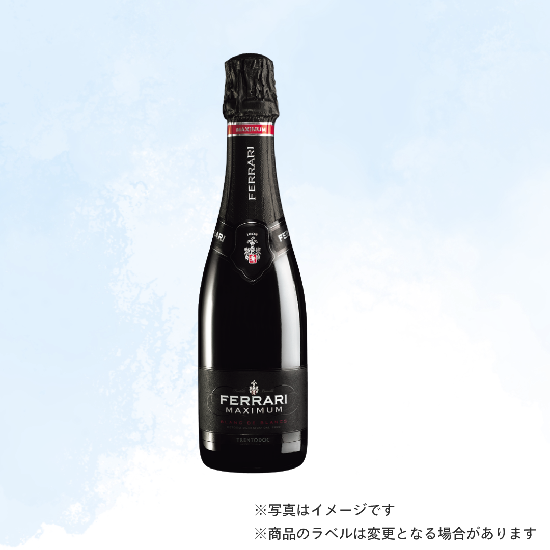 （シャンパン）フェッラーリ マキシマム ブラン・ド・ブラン　NV　ハーフ 375ml