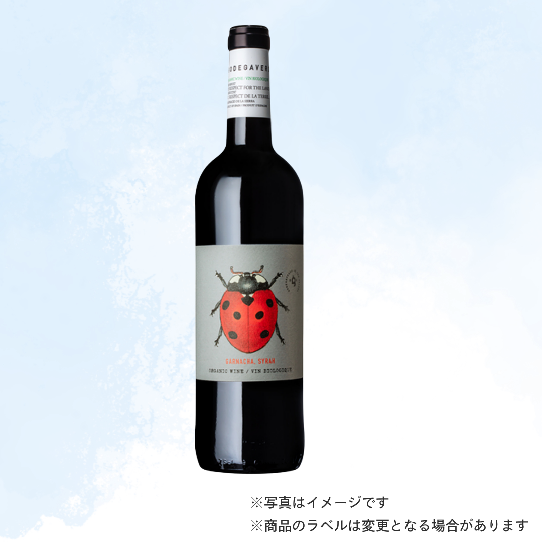 （赤ワイン）ボデガヴェルデ ガルナッチャ＆シラー 750ml