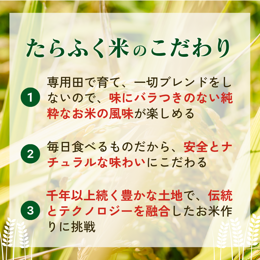 たらふく米 結びの神