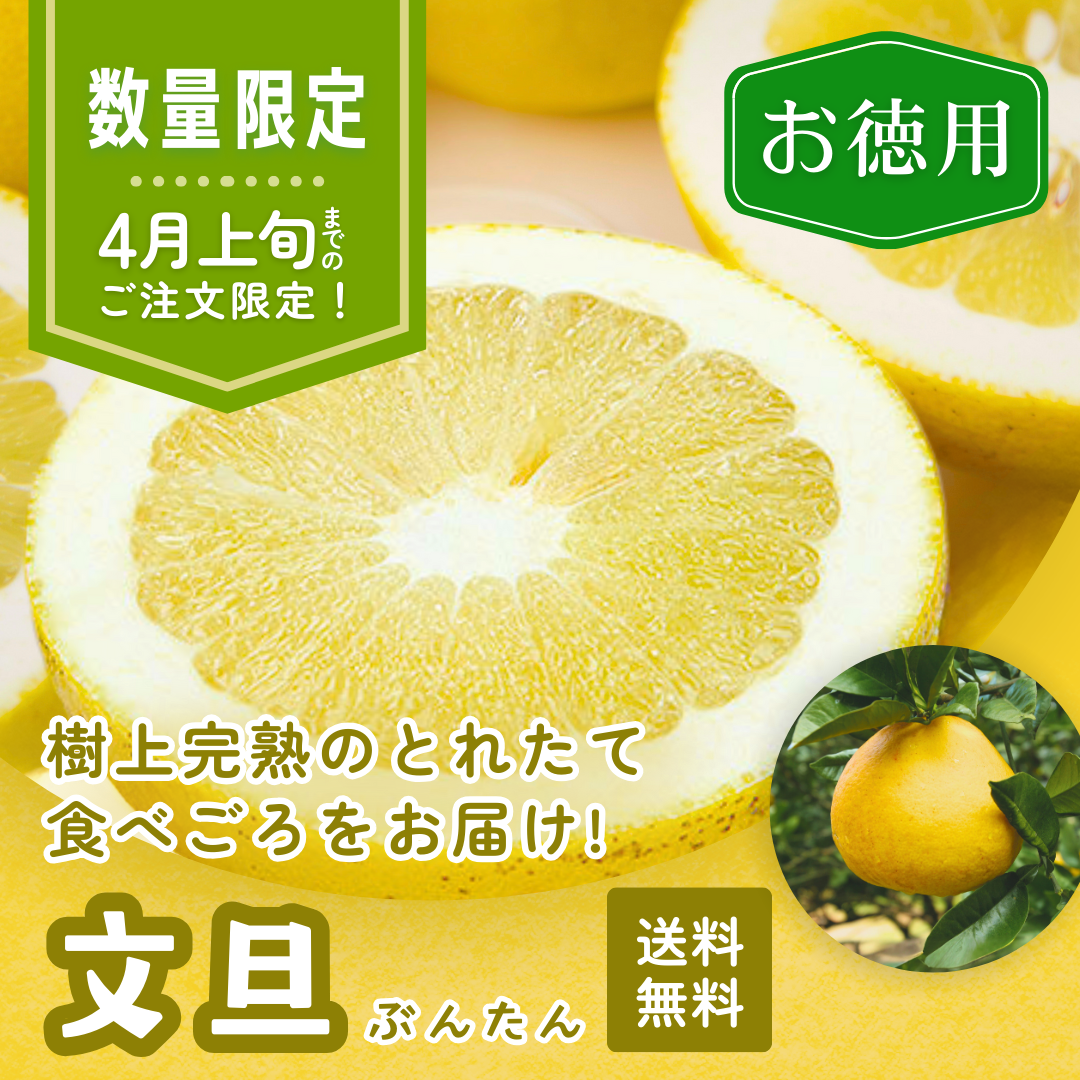 【数量限定】文旦 5kg（お徳用）