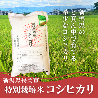 特別栽培米 コシヒカリ
