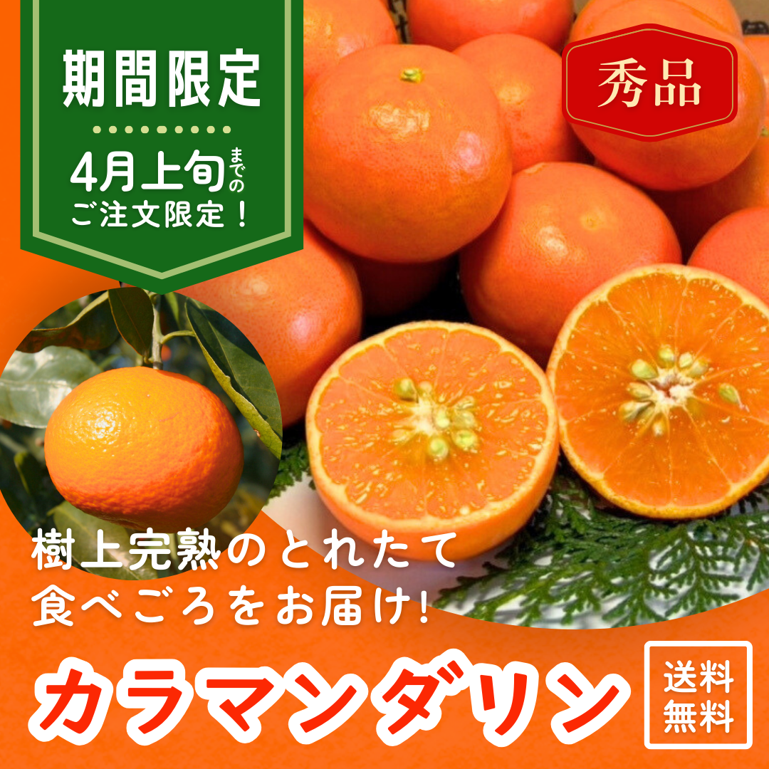 【期間限定】カラマンダリン 2kg