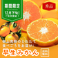 【期間限定】早生みかん 3㎏