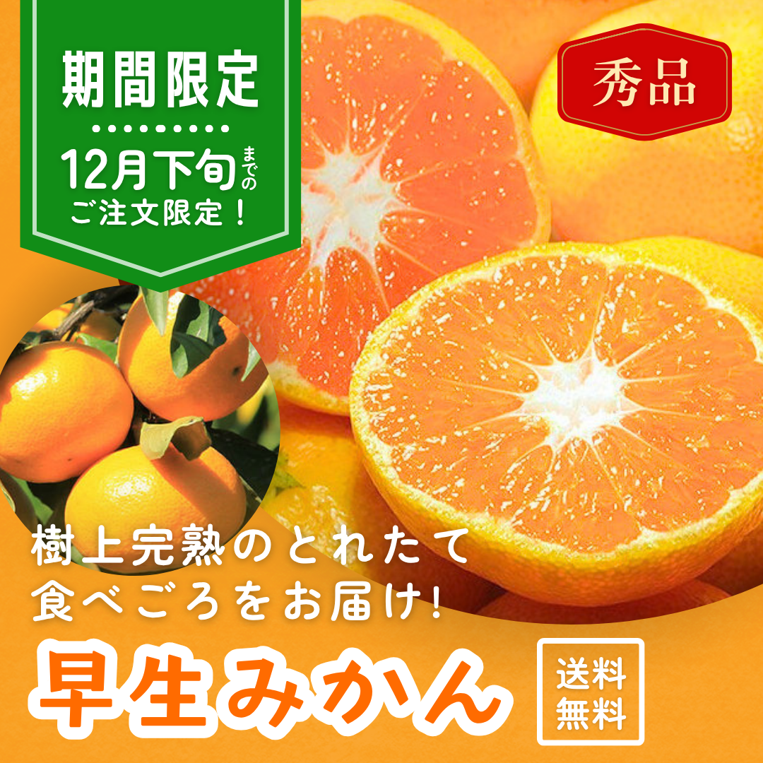 【期間限定】早生みかん 3㎏