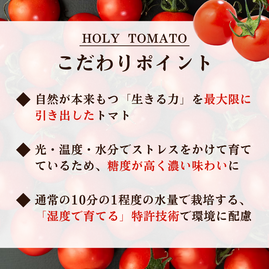 HOLY TOMATO