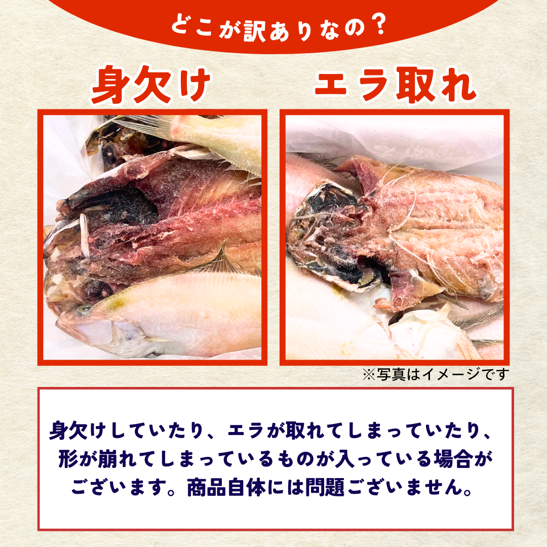 訳あり　日本海産　干物詰め合わせ（1.2～1.4kg）