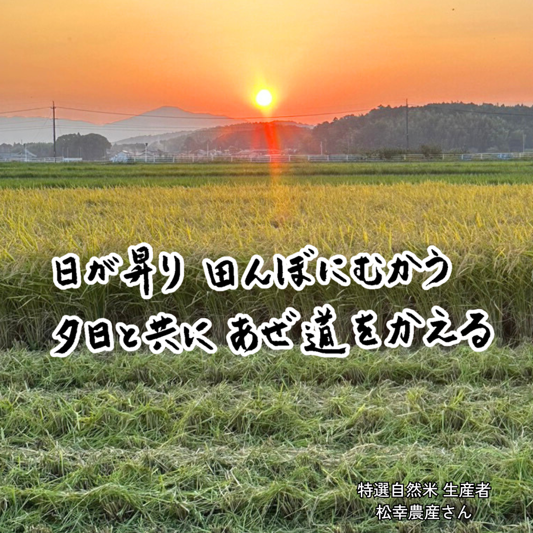 特選自然米
