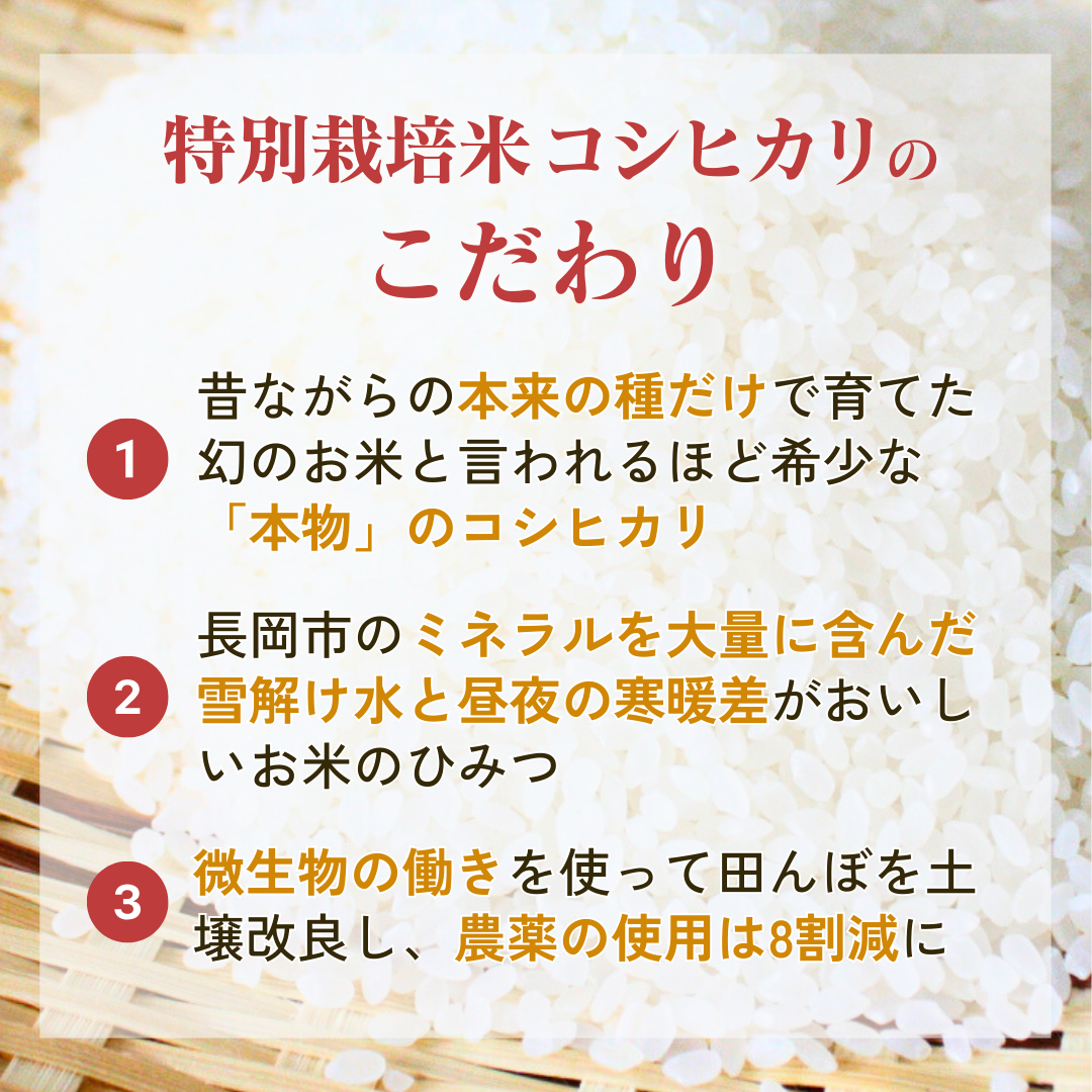 特別栽培米 コシヒカリ
