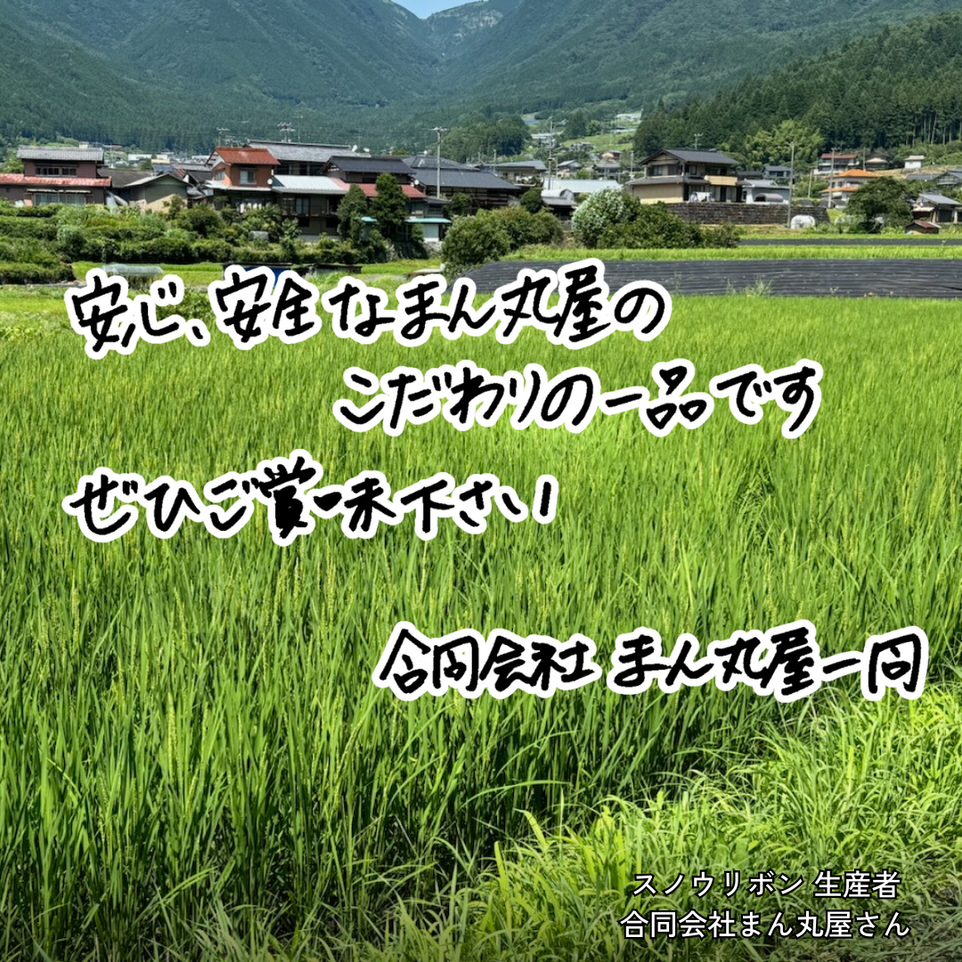 スノウリボン