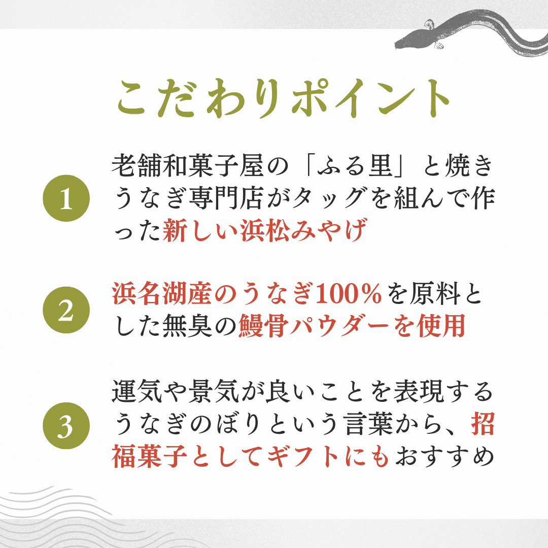 濱松うなぎのぼり 10個セット