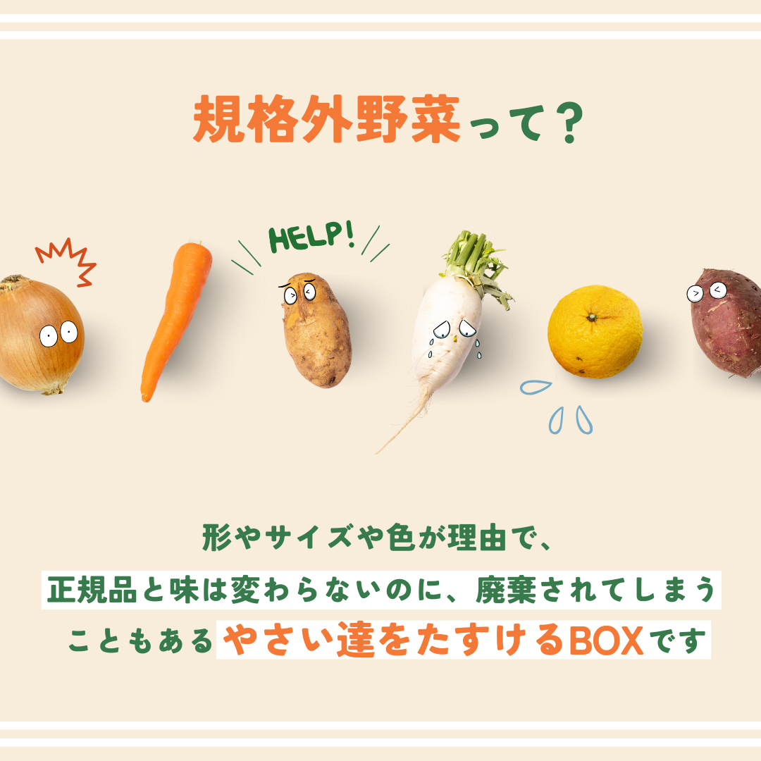 【つなぐ おやさい】規格外お野菜BOX