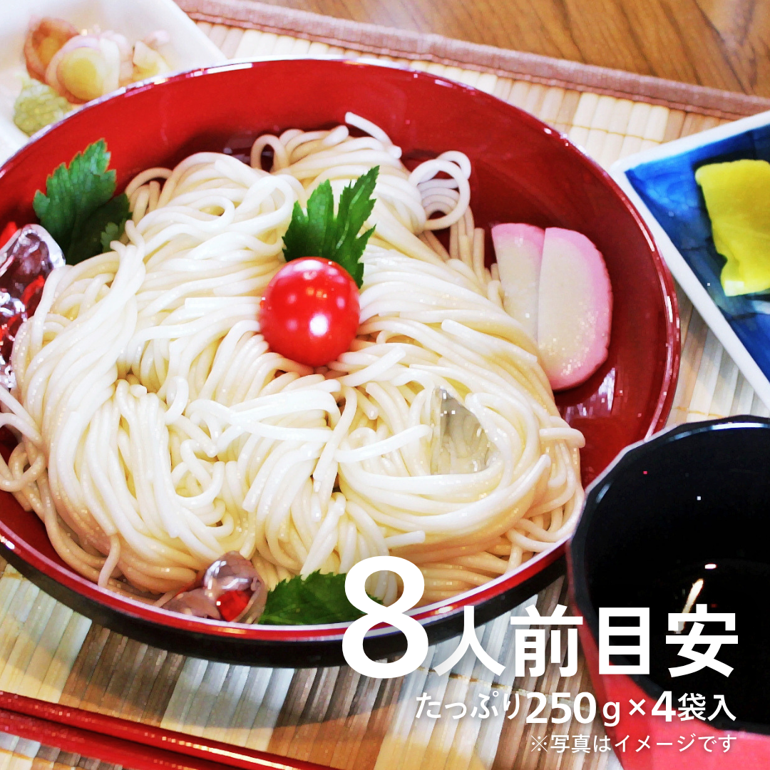 本場九州ラーメン専門店　九州熟成ひやむぎ１㎏ (250g×4袋)