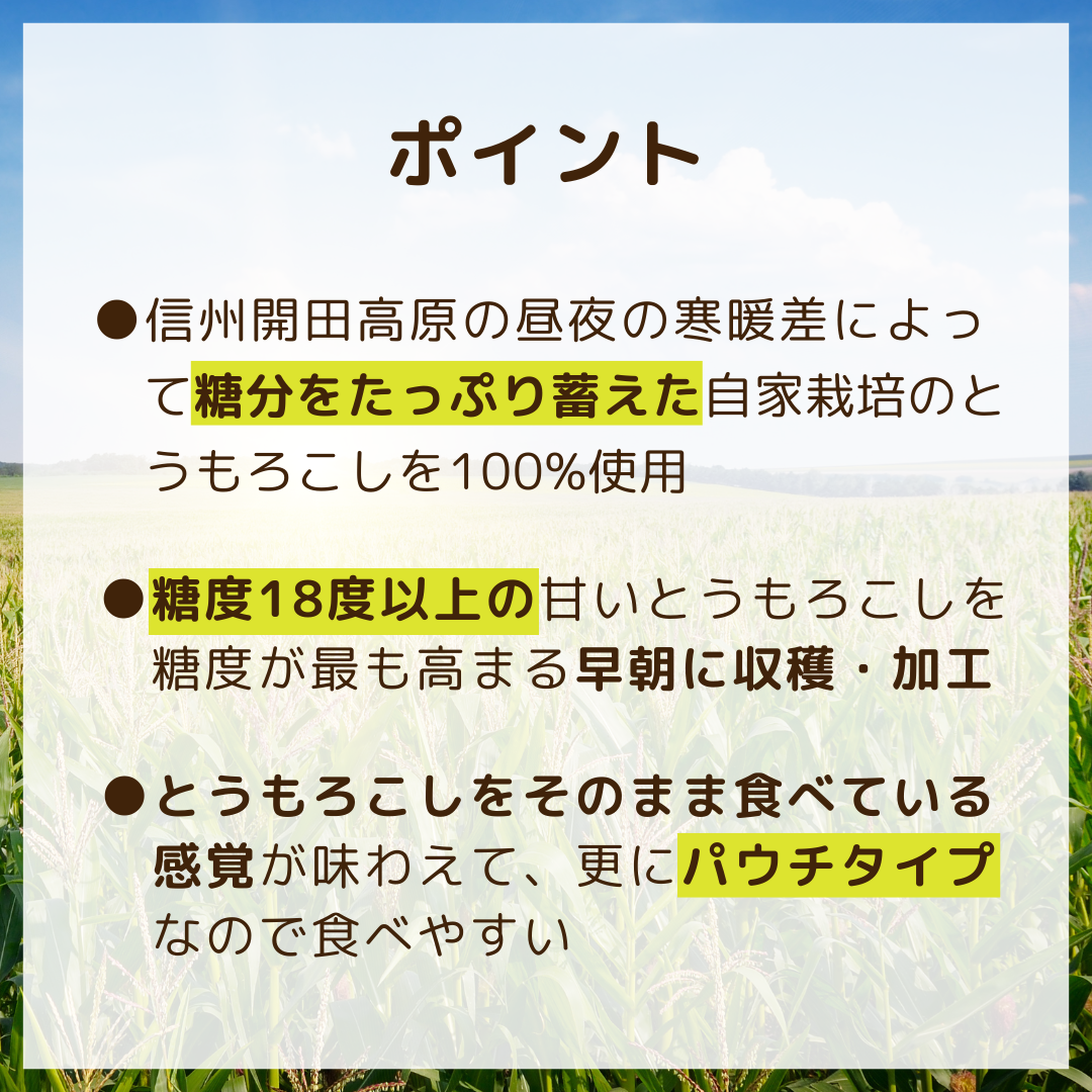 開田高原育ちのとうもろこしアイス