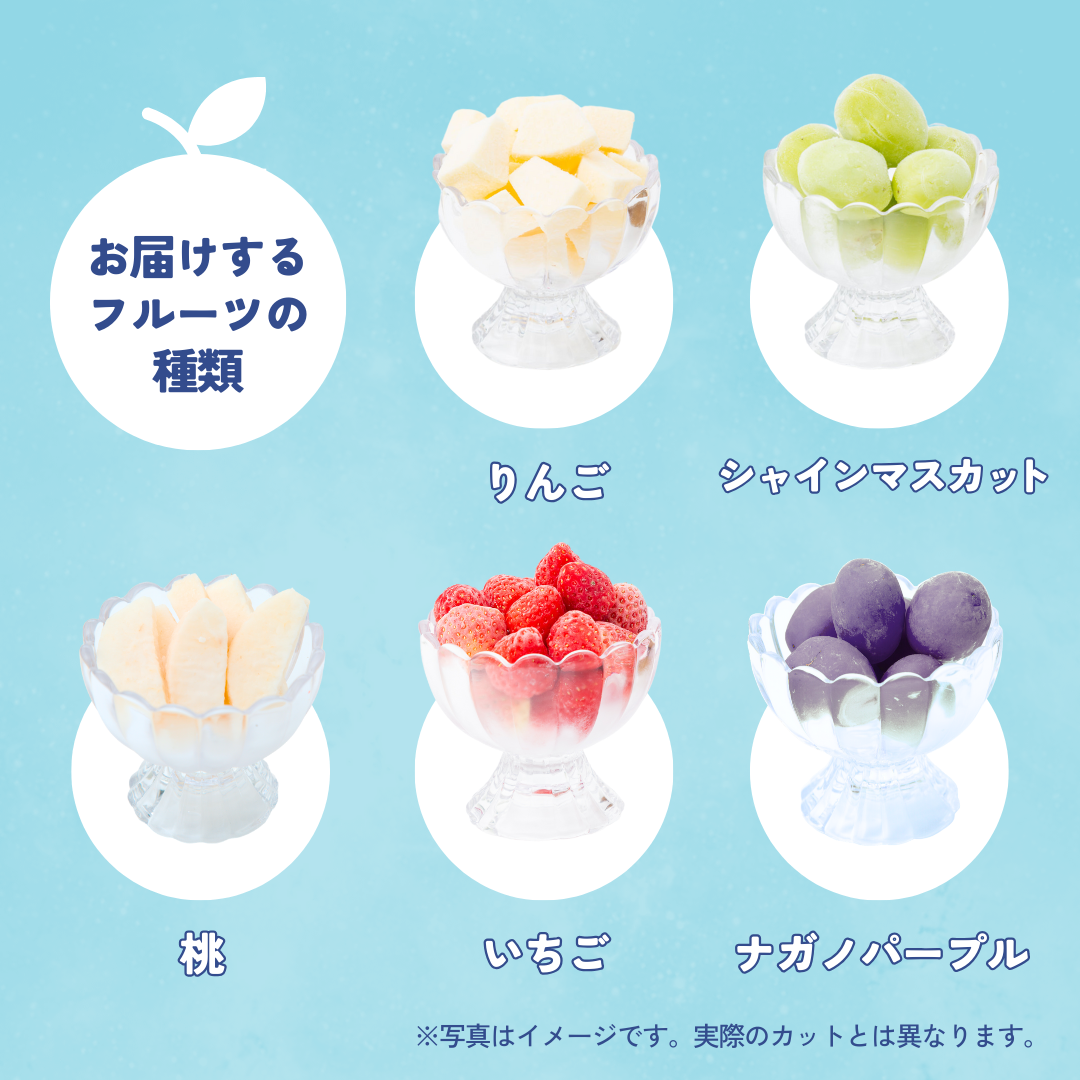 フローズンフルーツアソート 5袋入り