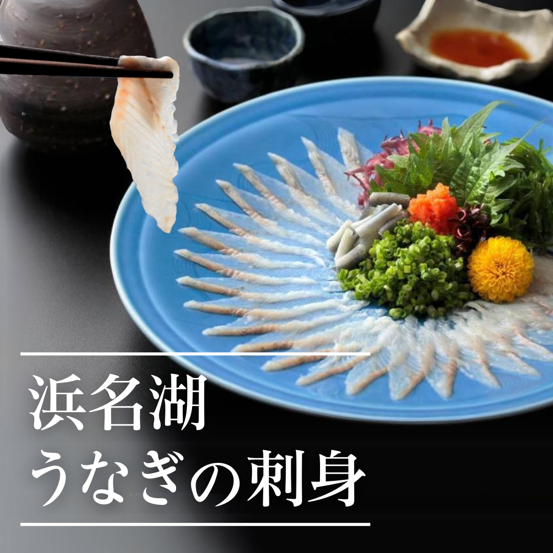 浜名湖うなぎの刺身