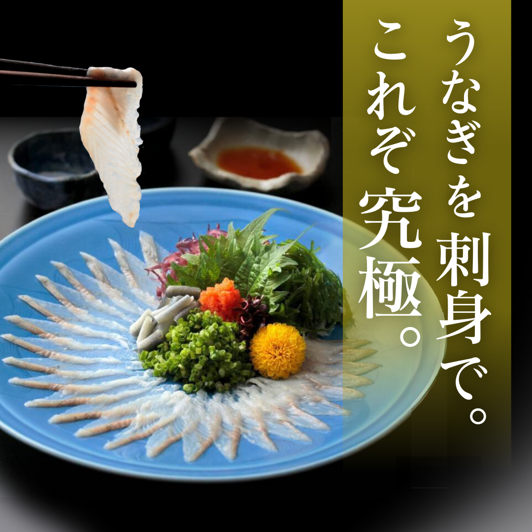浜名湖うなぎの刺身