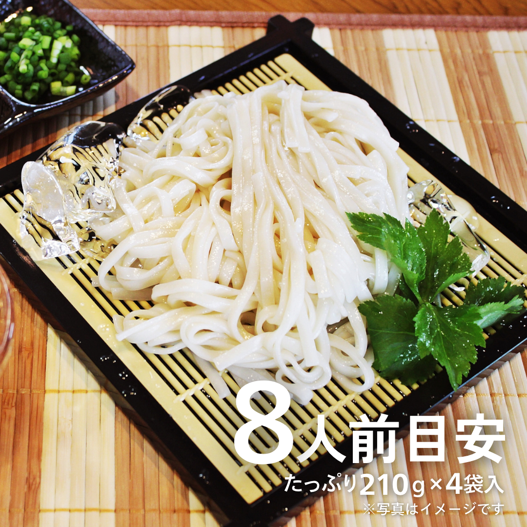 本場九州ラーメン専門店　平打ちざるうどん (210g×4袋)
